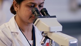 Lab Facts PSA Video