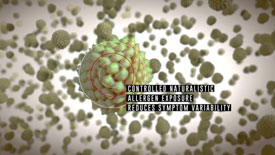 Inflamax Particle Flow Animation